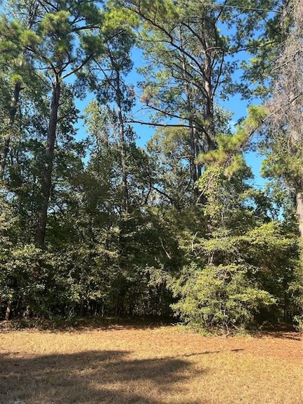 Property for sale in Polk County, Texas