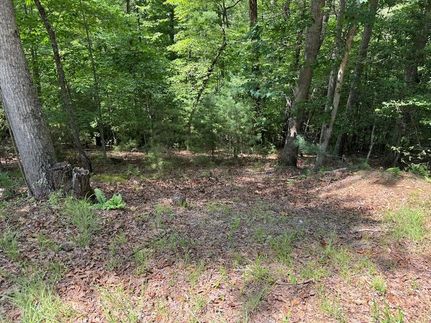 Property for sale in Union County, Georgia