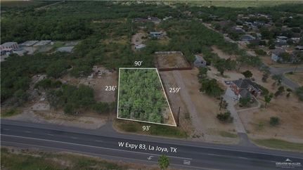 Undeveloped Land for sale in Hidalgo County, Texas