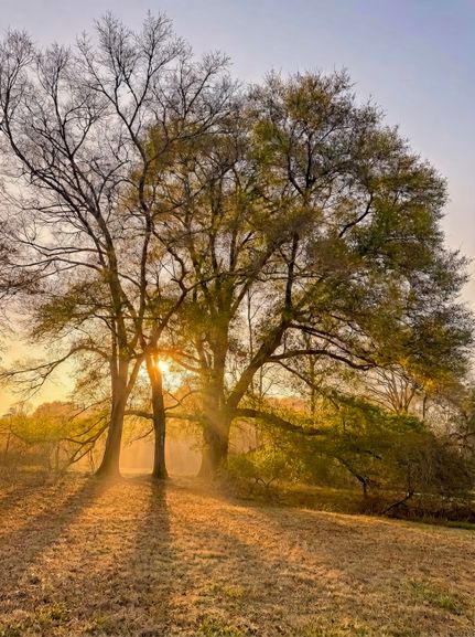 Property for sale in Pike County, Alabama