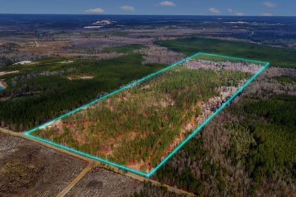 Property for sale in Twiggs County, Georgia