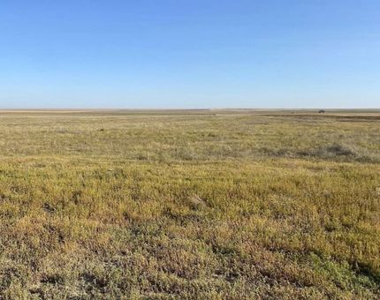 Farm Property for sale in Kiowa County, Colorado
