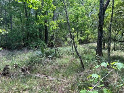 Property for sale in Livingston Parish, Louisiana