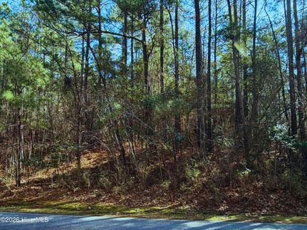Undeveloped Land for sale in Moore County, North Carolina