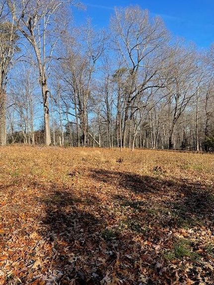 Property for sale in Franklin County, Virginia