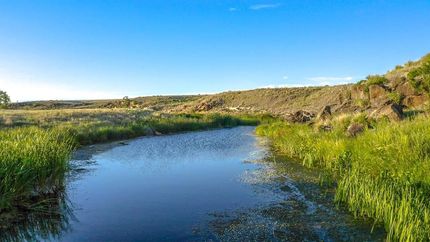 Property for sale in Union County, New Mexico