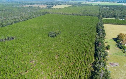 Undeveloped Land for sale in Suwannee County, Florida