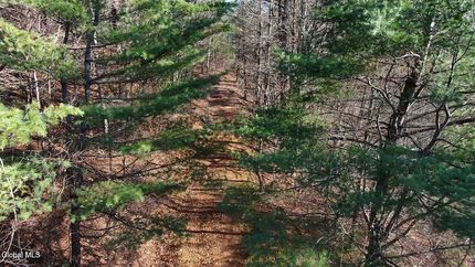 Undeveloped Land for sale in Schoharie County, New York