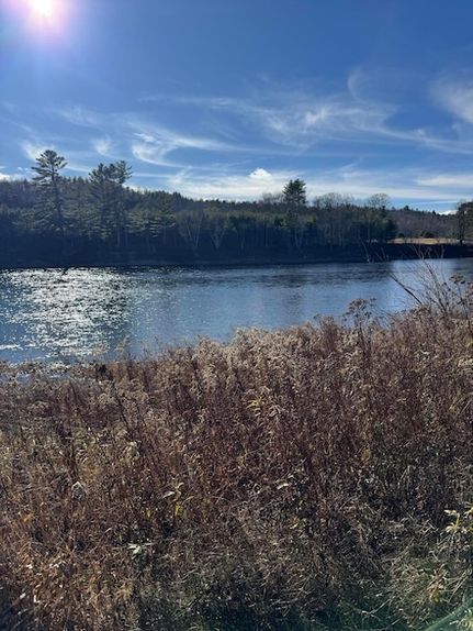 Undeveloped Land for sale in Oxford County, Maine