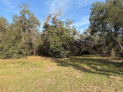 Waterfront Property for sale in Lake County, Florida
