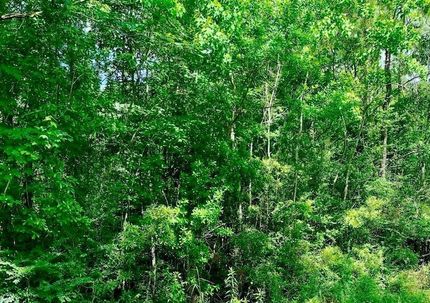 Property for sale in Jasper County, Texas