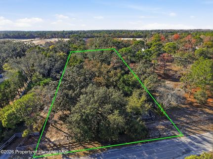 Undeveloped Land for sale in Pasco County, Florida