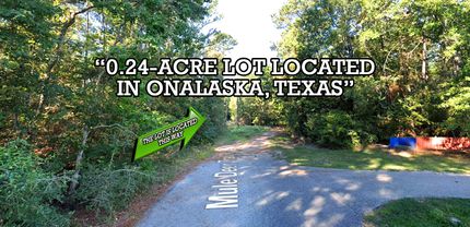 Property for sale in Polk County, Texas