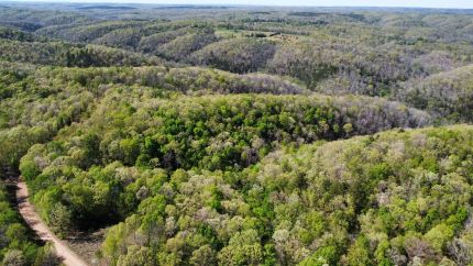 Property for sale in Stone County, Arkansas