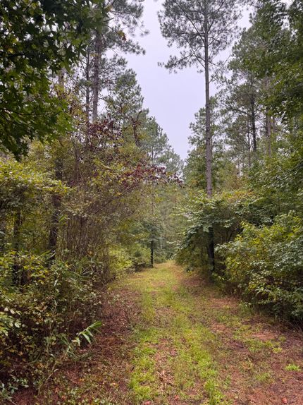 Property for sale in Hale County, Alabama