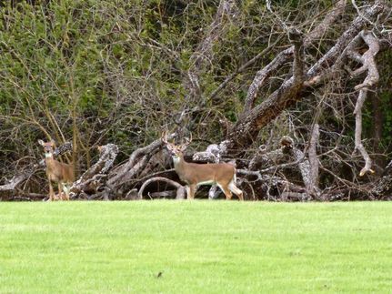 Property for sale in Atoka County, Oklahoma