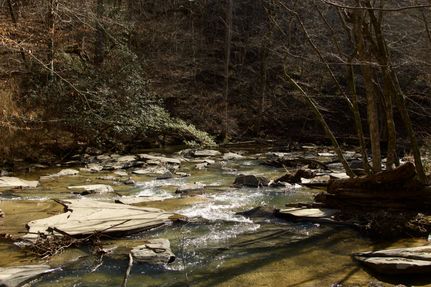 Property for sale in Jefferson County, Alabama