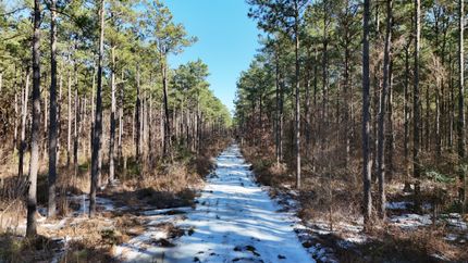 Property for sale in Morehouse Parish, Louisiana