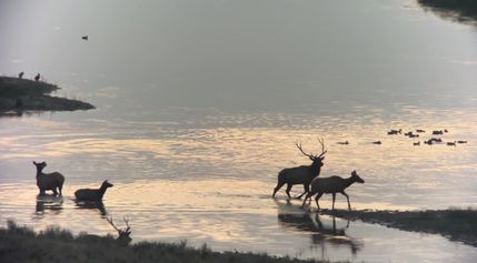 Property for sale in Garfield County, Montana