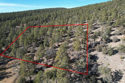 Property for sale in Rio Arriba County, New Mexico