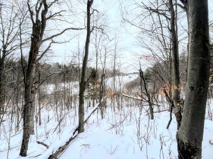 Property in Saint Lawrence County, New York