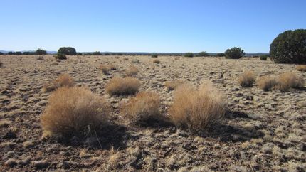 Property for sale in Apache County, Arizona