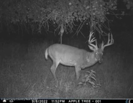 Property for sale in Shawano County, Wisconsin