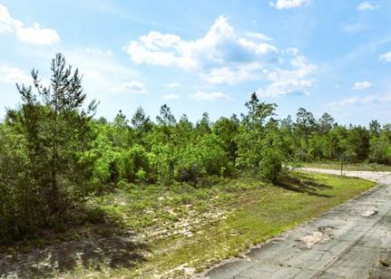Property for sale in Washington County, Florida