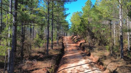 Property for sale in Tallapoosa County, Alabama