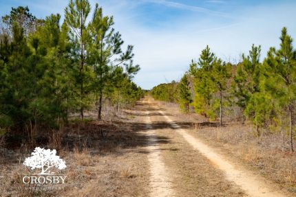 Property for sale in Calhoun County, South Carolina
