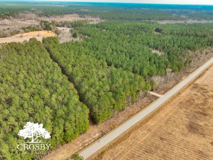 Timberland Property for sale in Williamsburg County, South Carolina