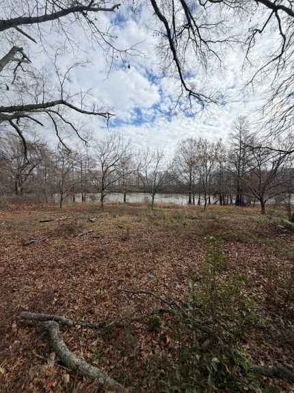 Property for sale in Leflore County, Mississippi