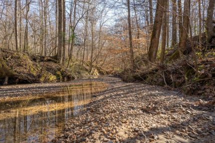 Property for sale in Jefferson County, Mississippi