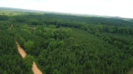 Property for sale in Lamar County, Alabama