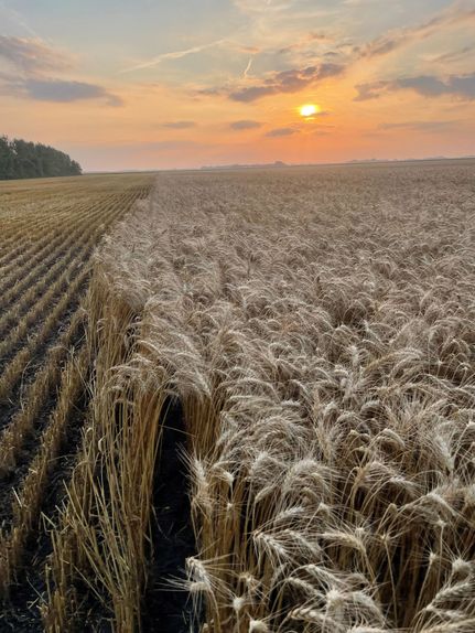 Property for sale in Polk County, Minnesota