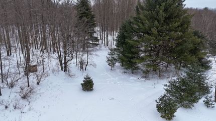 Property for sale in Osceola County, Michigan