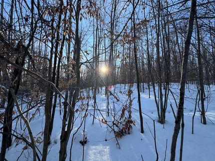 Property for sale in Oscoda County, Michigan