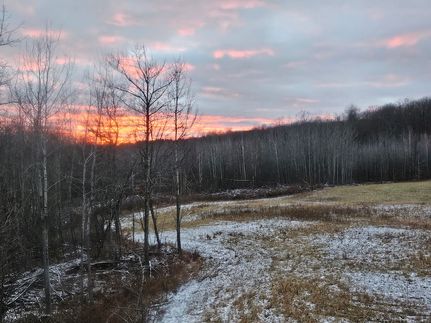 Property for sale in Oscoda County, Michigan