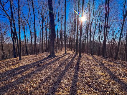 Timberland Property for sale in Pleasants County, West Virginia