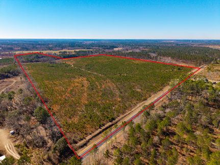 Undeveloped Land for sale in Tattnall County, Georgia
