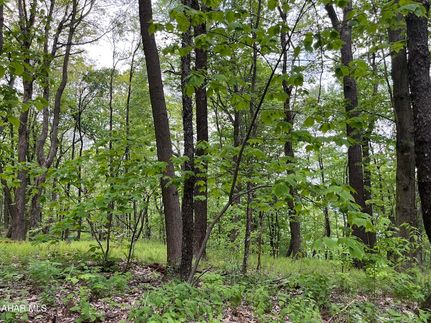 Property for sale in Bedford County, Pennsylvania