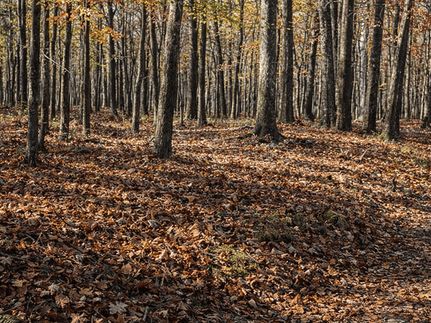 Property for sale in Benton County, Missouri