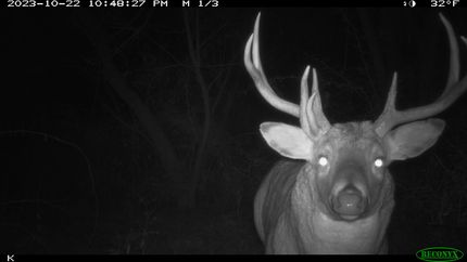 Property for sale in Richland County, Wisconsin