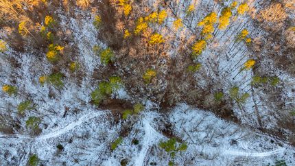 Property for sale in Texas County, Missouri