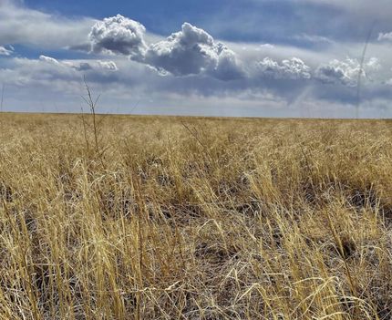 Property for sale in Kiowa County, Colorado