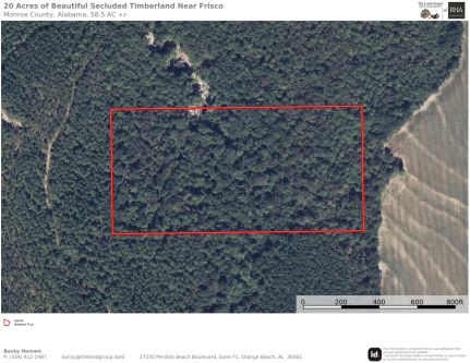 Property for sale in Monroe County, Alabama