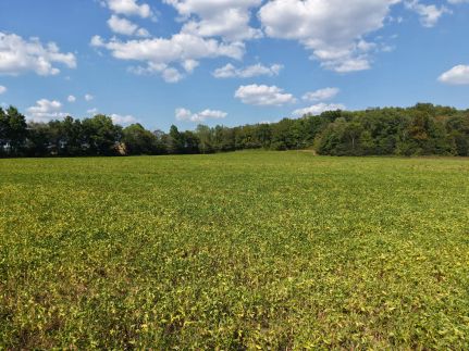 Property for sale in Decatur County, Tennessee