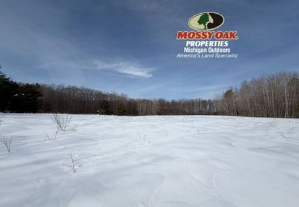 Property for sale in Newaygo County, Michigan