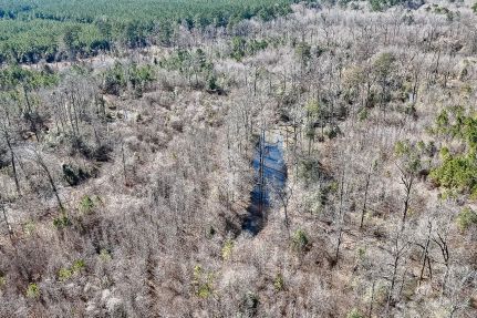 Timberland Property for sale in Ashley County, Arkansas