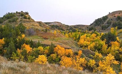 Property for sale in Custer County, South Dakota